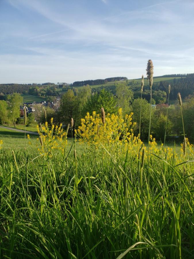 Ferienwohnung Sonnen Panorama - Abenteurer und Weltentdecker Winterberg Exterior foto